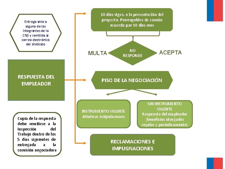 Entrega ante a alguno de los integrantes de la CNS y remitida al correo