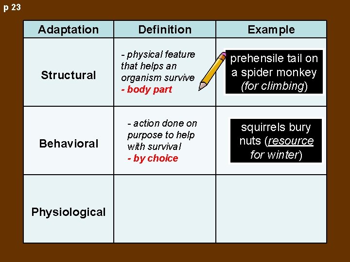 p 23 Adaptation Definition Structural - physical feature that helps an organism survive -