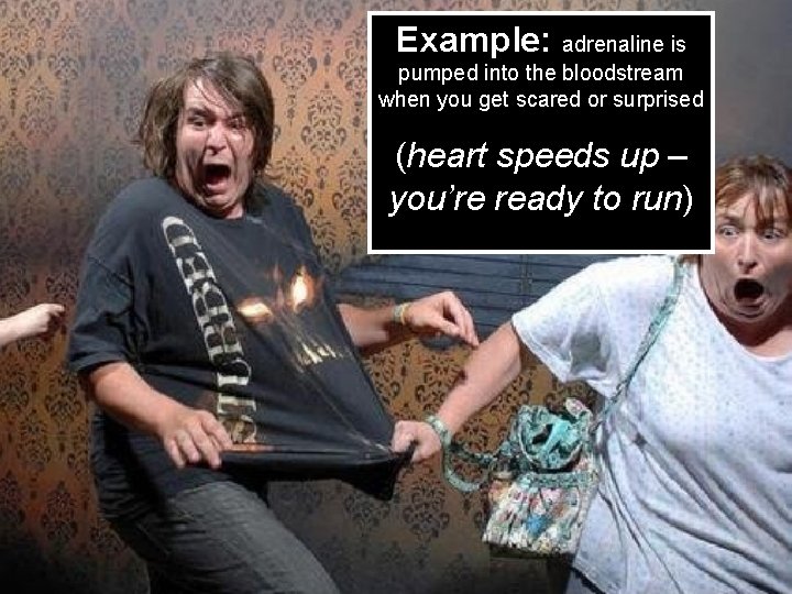 Example: adrenaline is pumped into the bloodstream when you get scared or surprised (heart