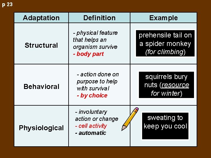 p 23 Adaptation Definition Example Structural - physical feature that helps an organism survive