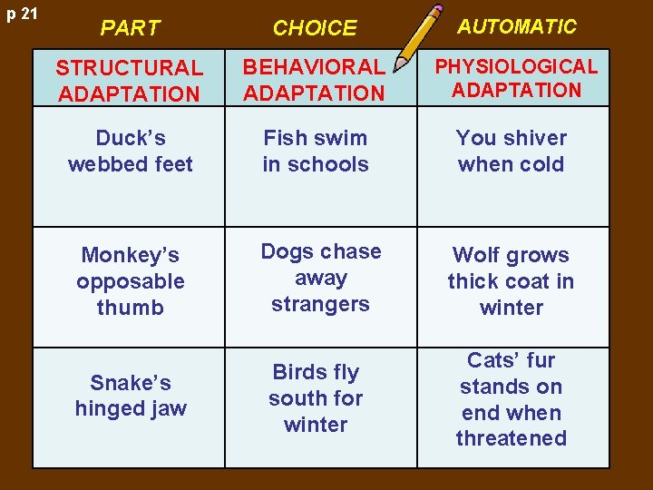 p 21 PART CHOICE AUTOMATIC STRUCTURAL ADAPTATION BEHAVIORAL ADAPTATION PHYSIOLOGICAL ADAPTATION Duck’s webbed feet