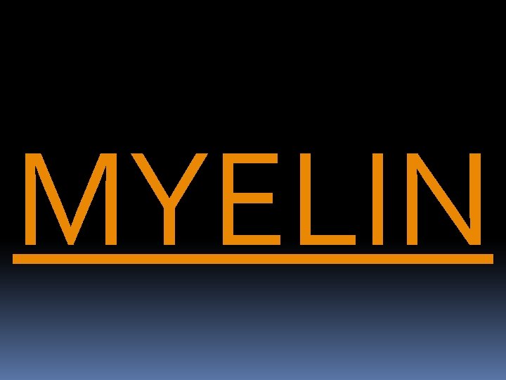 MYELIN 