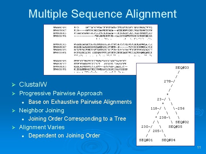 Multiple Sequence Alignment Ø Clustal. W Progressive Pairwise Approach l Base on Exhaustive Pairwise