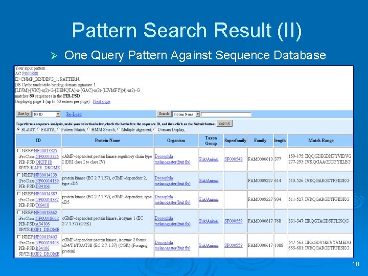 Pattern Search Result (II) Ø One Query Pattern Against Sequence Database 18 