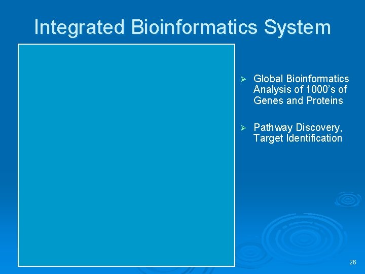 Integrated Bioinformatics System Ø Global Bioinformatics Analysis of 1000’s of Genes and Proteins Ø