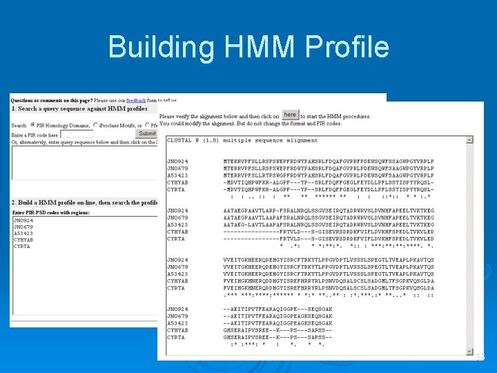 Building HMM Profile 36 