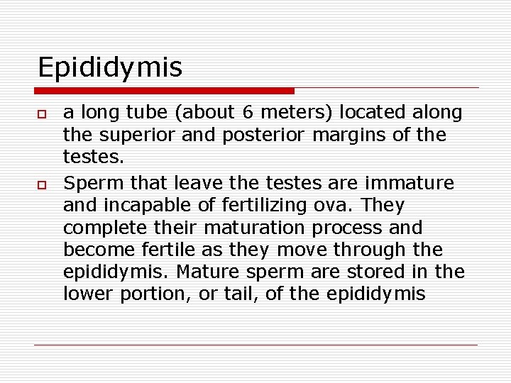 Epididymis o o a long tube (about 6 meters) located along the superior and