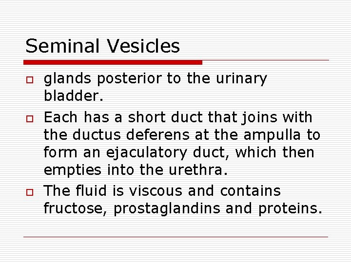 Seminal Vesicles o o o glands posterior to the urinary bladder. Each has a