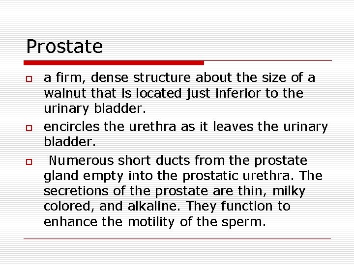 Prostate o o o a firm, dense structure about the size of a walnut