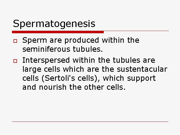 Spermatogenesis o o Sperm are produced within the seminiferous tubules. Interspersed within the tubules
