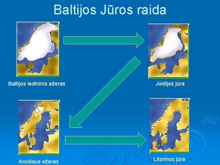 Baltijos Jūros raida Baltijos ledininis ežeras Anciliaus ežeras Joldijos jūra Litorinos jūra 