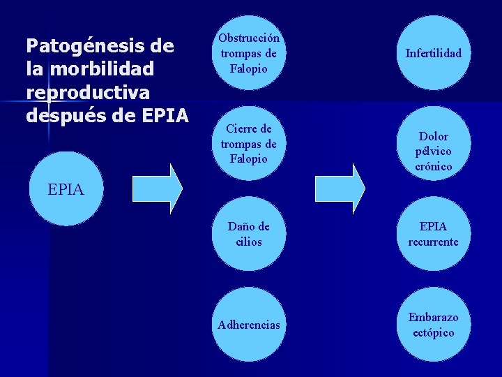 Patogénesis de la morbilidad reproductiva después de EPIA Obstrucción trompas de Falopio Cierre de