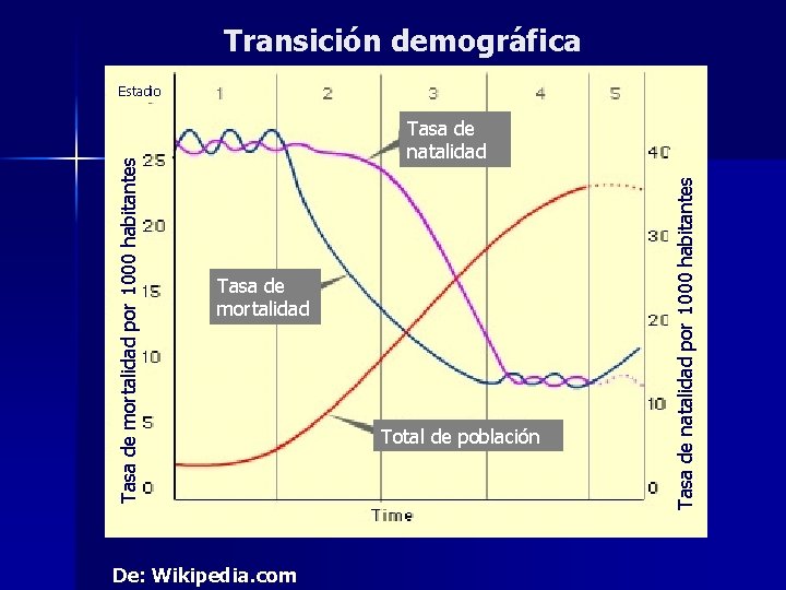 Transición demográfica Tasa de natalidad Tasa de mortalidad De: Wikipedia. com Total de población