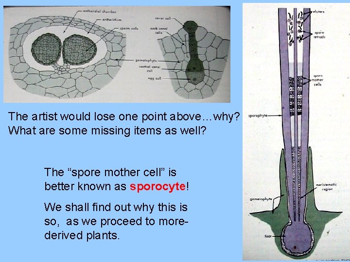 The artist would lose one point above…why? What are some missing items as well?