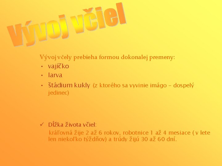 Vývoj včely prebieha formou dokonalej premeny: • vajíčko • larva • štádium kukly (z