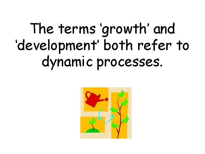 The terms ‘growth’ and ‘development’ both refer to dynamic processes. 