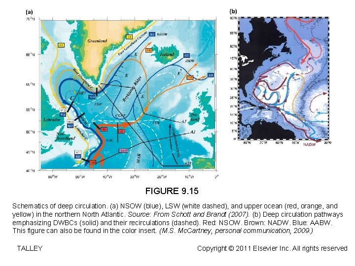 FIGURE 9. 15 Schematics of deep circulation. (a) NSOW (blue), LSW (white dashed), and