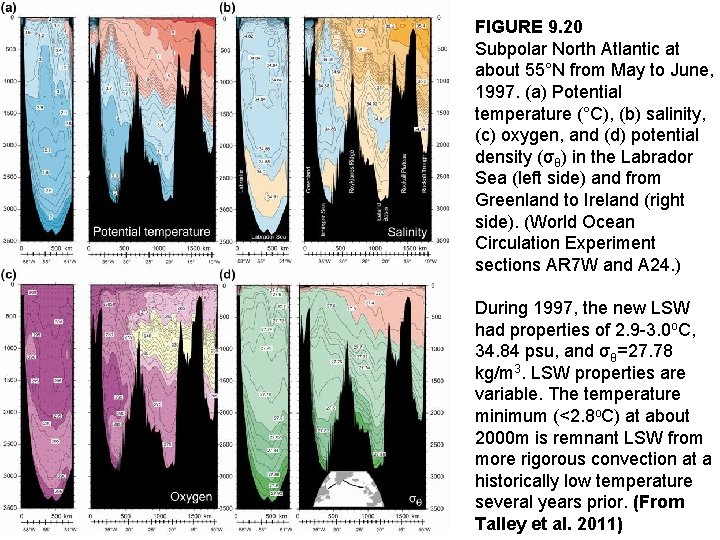 FIGURE 9. 20 Subpolar North Atlantic at about 55°N from May to June, 1997.