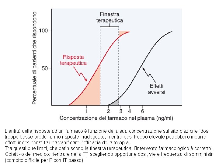 L’entità delle risposte ad un farmaco è funzione della sua concentrazione sul sito d’azione: