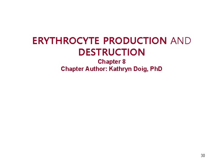 ERYTHROCYTE PRODUCTION AND DESTRUCTION Chapter 8 Chapter Author: Kathryn Doig, Ph. D 30 