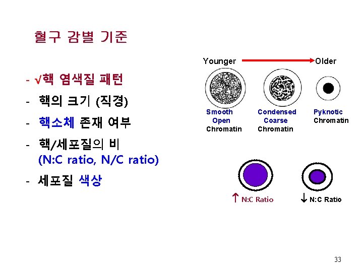 혈구 감별 기준 Older Younger - √핵 염색질 패턴 - 핵의 크기 (직경) -