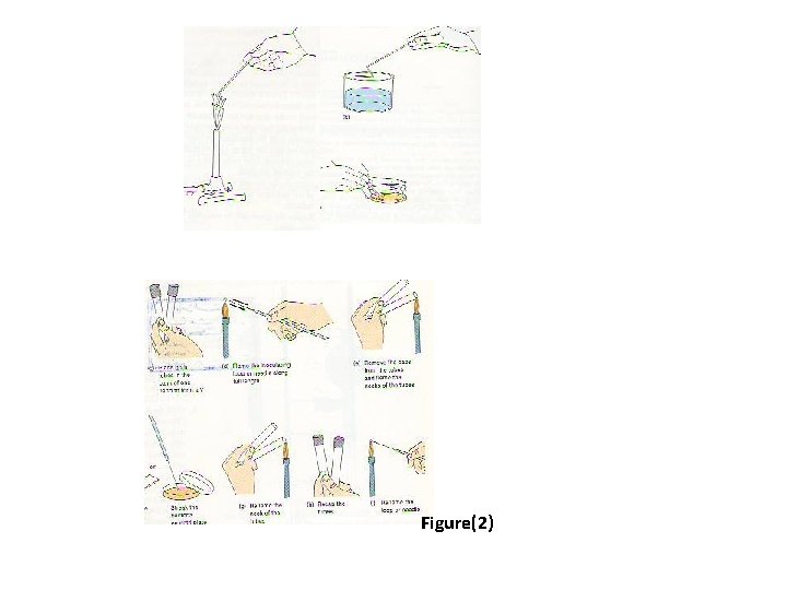 Figure(2) Figure(2)