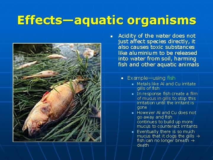 Effects—aquatic organisms n Acidity of the water does not just affect species directly, it