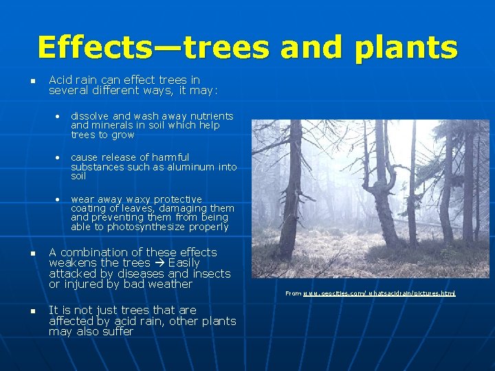 Effects—trees and plants n Acid rain can effect trees in several different ways, it