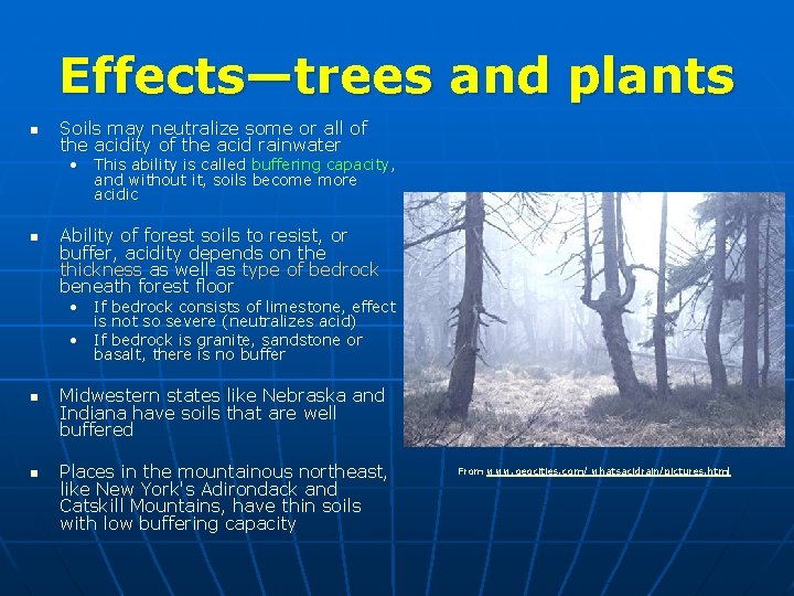 Effects—trees and plants n Soils may neutralize some or all of the acidity of