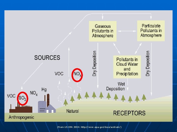 (From US EPA 2004: http: //www. epa. gov/docs/acidrain/) 