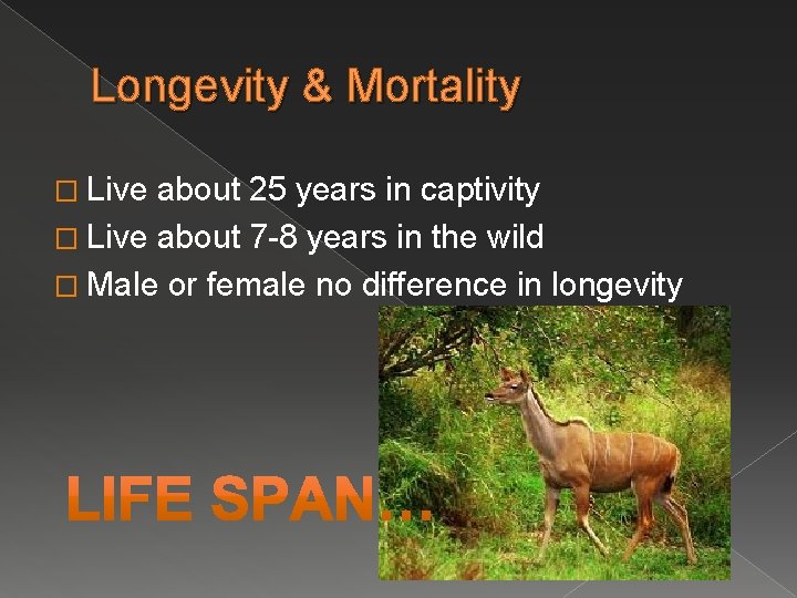 Longevity & Mortality � Live about 25 years in captivity � Live about 7