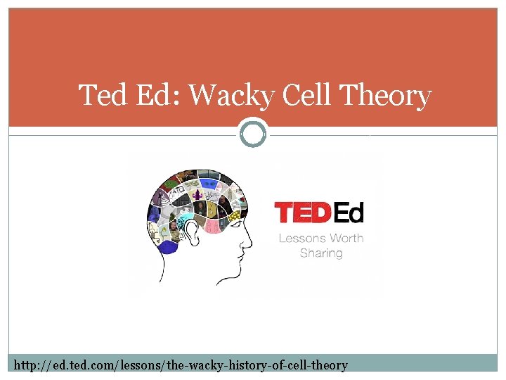 Ted Ed: Wacky Cell Theory http: //ed. ted. com/lessons/the-wacky-history-of-cell-theory 