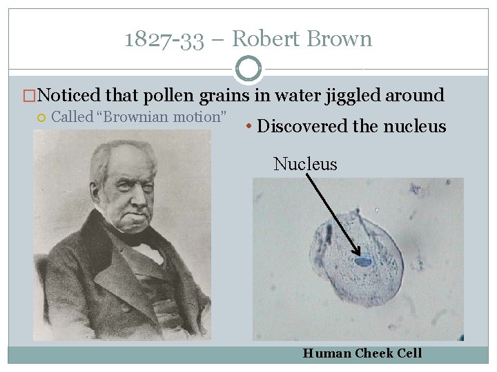 1827 -33 – Robert Brown �Noticed that pollen grains in water jiggled around Called