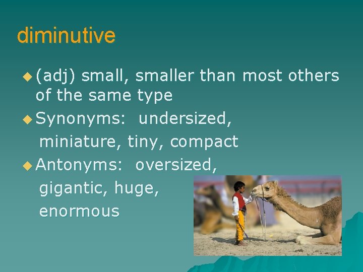 diminutive u (adj) small, smaller than most others of the same type u Synonyms: