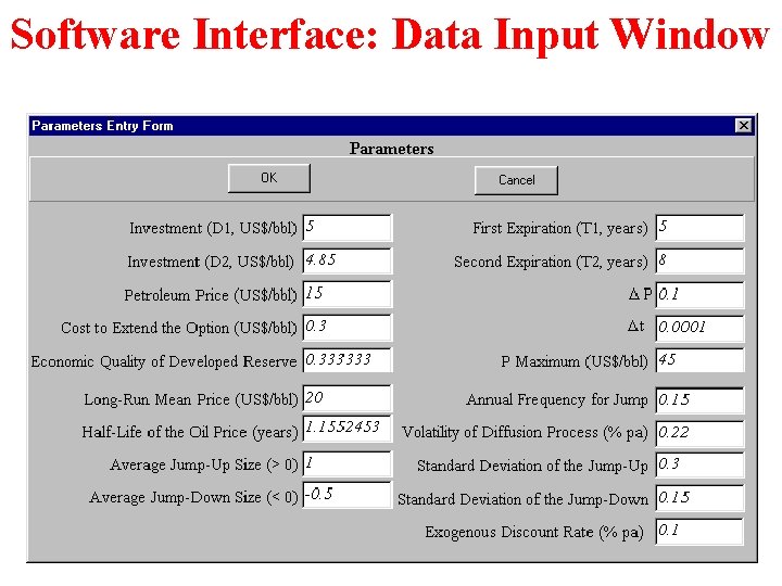 Software Interface: Data Input Window 