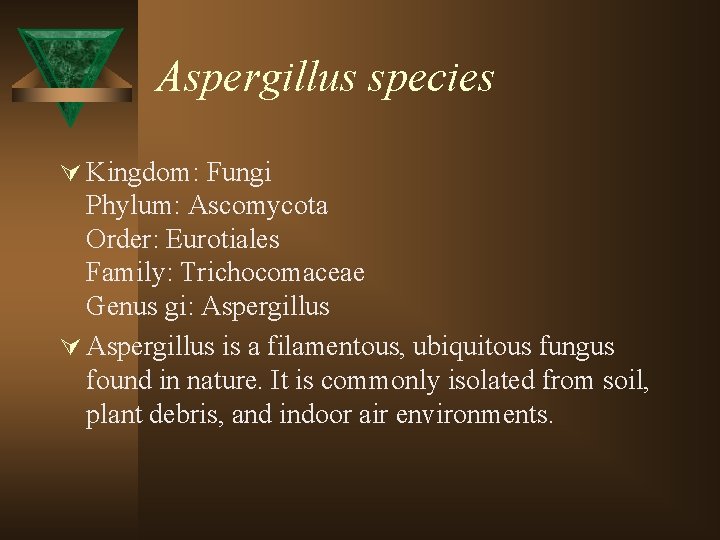 Aspergillus species Ú Kingdom: Fungi Phylum: Ascomycota Order: Eurotiales Family: Trichocomaceae Genus gi: Aspergillus