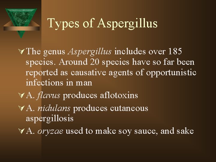 Types of Aspergillus Ú The genus Aspergillus includes over 185 species. Around 20 species