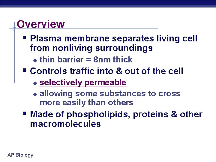 Overview § Plasma membrane separates living cell from nonliving surroundings u thin barrier =