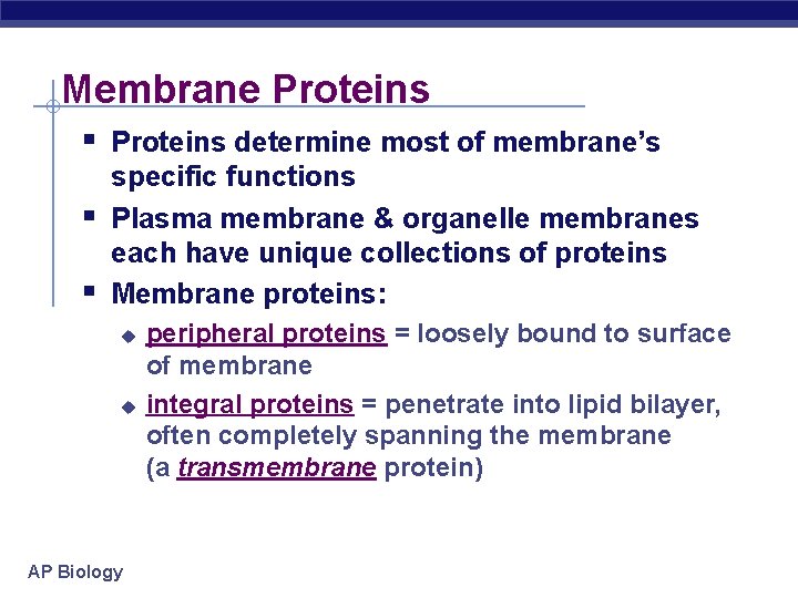 Membrane Proteins § Proteins determine most of membrane’s § § specific functions Plasma membrane