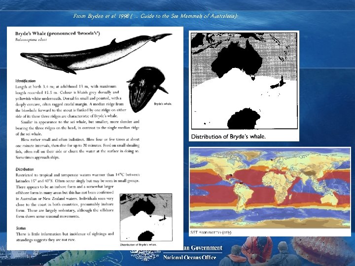 From Bryden et al. 1998 (. . . Guide to the Sea Mammals of