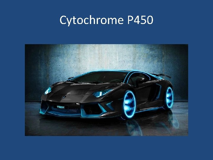 Cytochrome P 450 