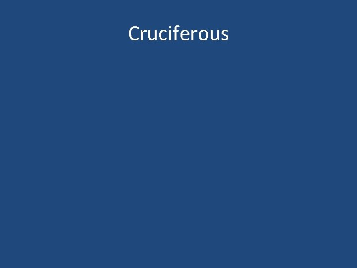 Cruciferous 