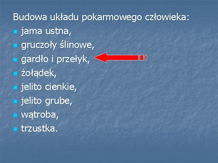 Budowa układu pokarmowego człowieka: n jama ustna, n gruczoły ślinowe, n gardło i przełyk,