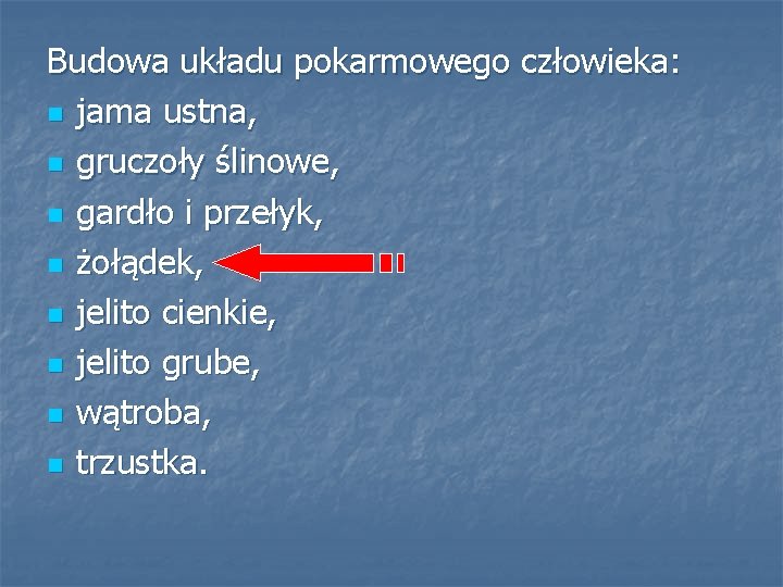 Budowa układu pokarmowego człowieka: n jama ustna, n gruczoły ślinowe, n gardło i przełyk,