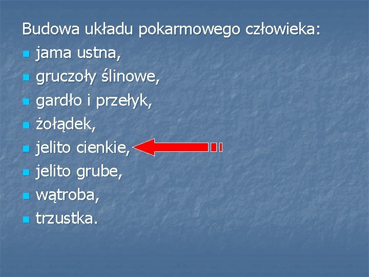 Budowa układu pokarmowego człowieka: n jama ustna, n gruczoły ślinowe, n gardło i przełyk,