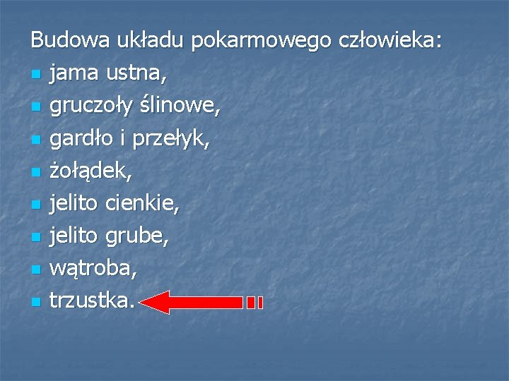 Budowa układu pokarmowego człowieka: n jama ustna, n gruczoły ślinowe, n gardło i przełyk,