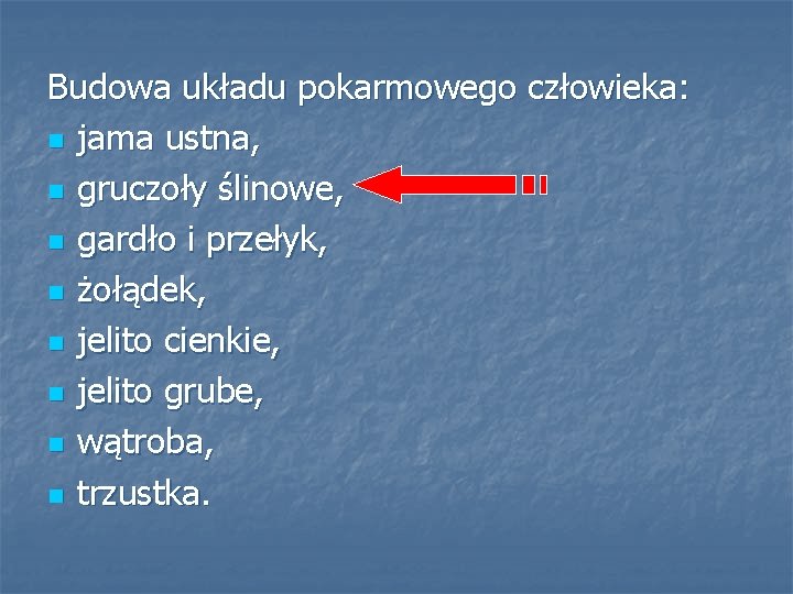 Budowa układu pokarmowego człowieka: n jama ustna, n gruczoły ślinowe, n gardło i przełyk,