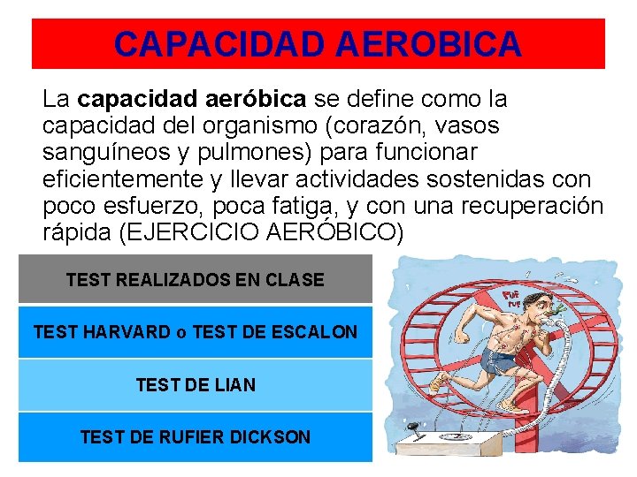 CAPACIDAD AEROBICA La capacidad aeróbica se define como la capacidad del organismo (corazón, vasos