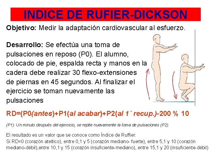 INDICE DE RUFIER-DICKSON Objetivo: Medir la adaptación cardiovascular al esfuerzo. Desarrollo: Se efectúa una