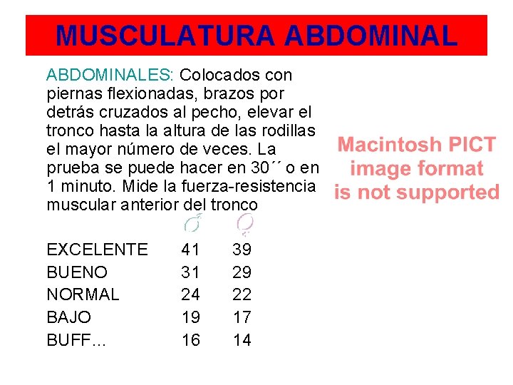 MUSCULATURA ABDOMINALES: Colocados con piernas flexionadas, brazos por detrás cruzados al pecho, elevar el